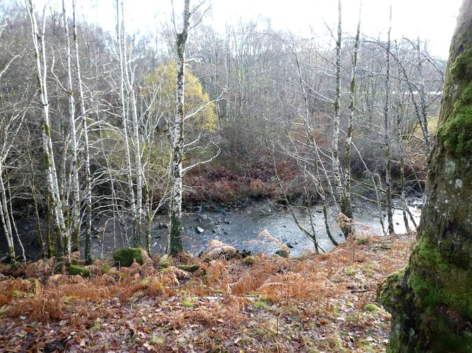 Cabins (Invergarry, Scotland, United Kingdom)