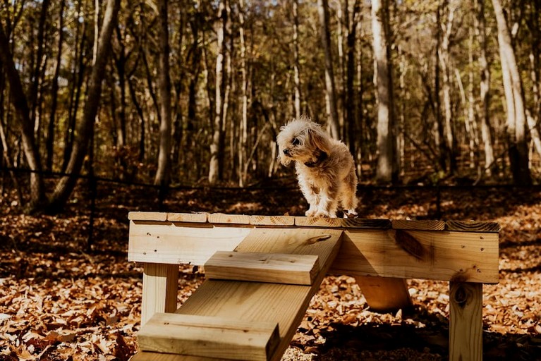 Tented Cabins (United States of America, Scottsboro, Alabama)