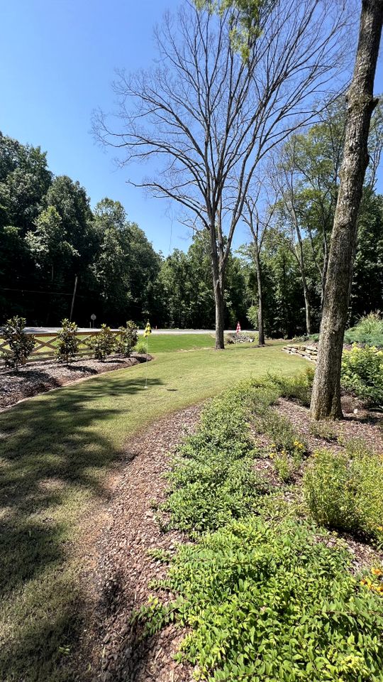 Gorgeous Tented Cabin and Sauna and Hot-tub in Scottsboro, Alabama