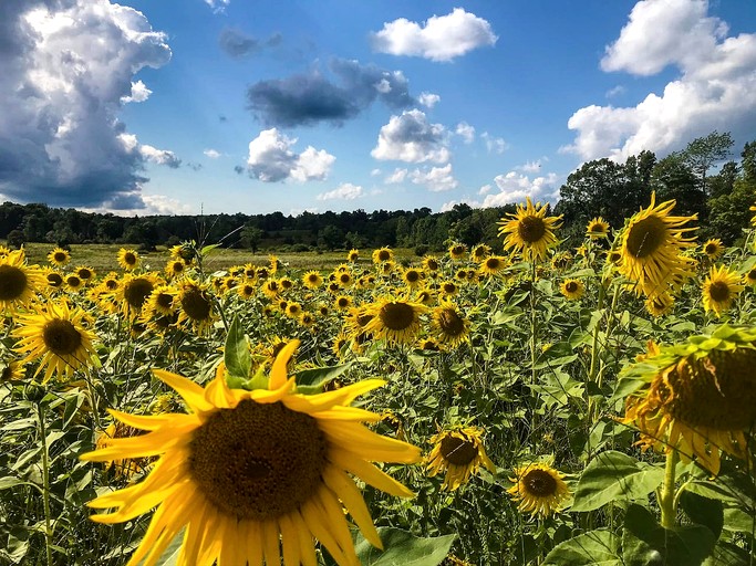 Vacation Rentals (United States of America, Bloomville, New York)