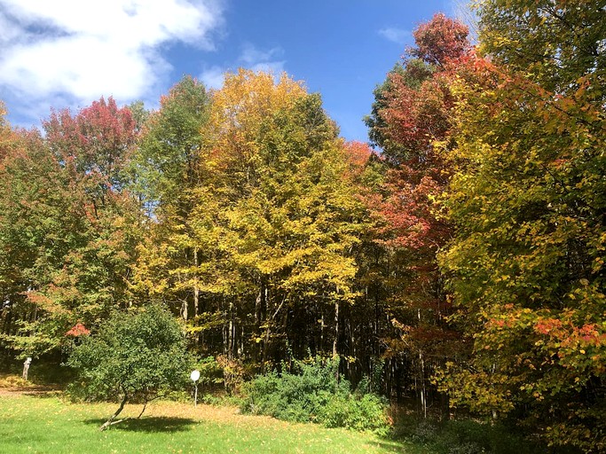 Vacation Rentals (United States of America, Bloomville, New York)