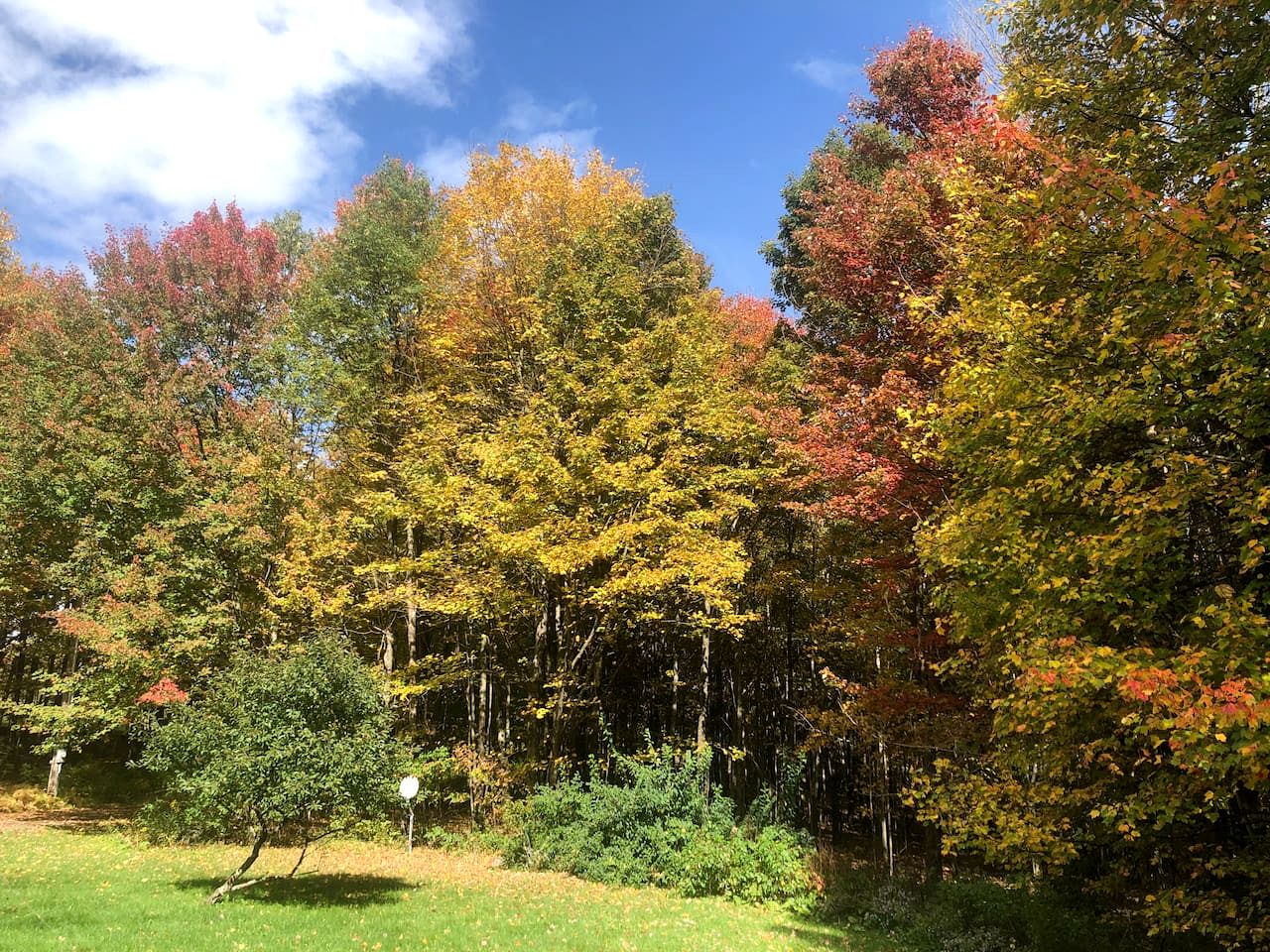 Peaceful Country Retreat with Private Trails, Sauna & Stargazing in Bloomville, New York