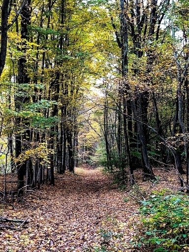 Vacation Rentals (United States of America, Bloomville, New York)