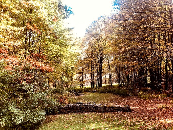 Vacation Rentals (United States of America, Bloomville, New York)