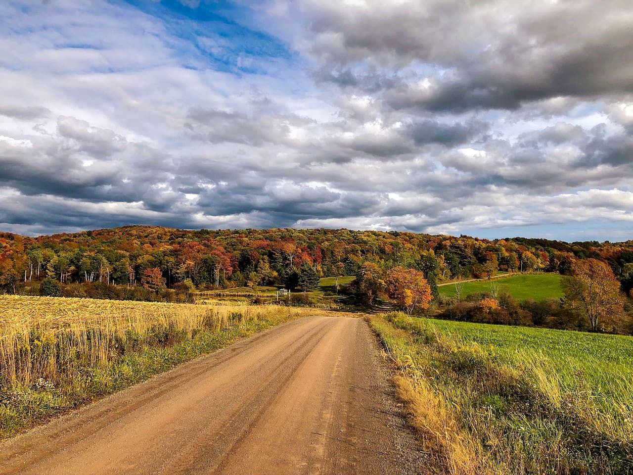 Peaceful Country Retreat with Private Trails, Sauna & Stargazing in Bloomville, New York