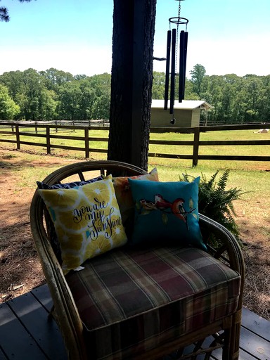 Airstreams (Hartwell, Georgia, United States of America)