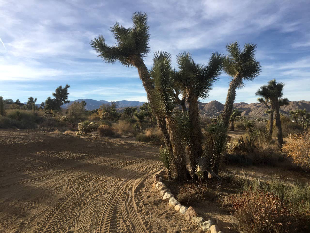 Romantic Yucca Valley Accommodation Perfect for Luxury Camping in California