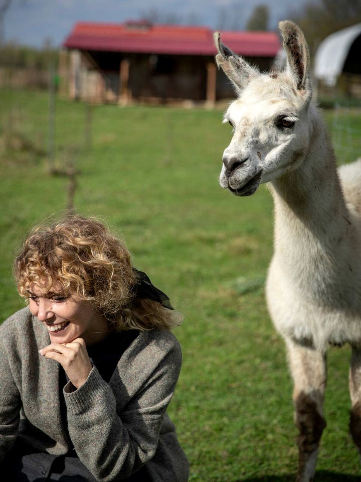 Luxury Camping with Llamas for an Ontario Glamping Farm Experience