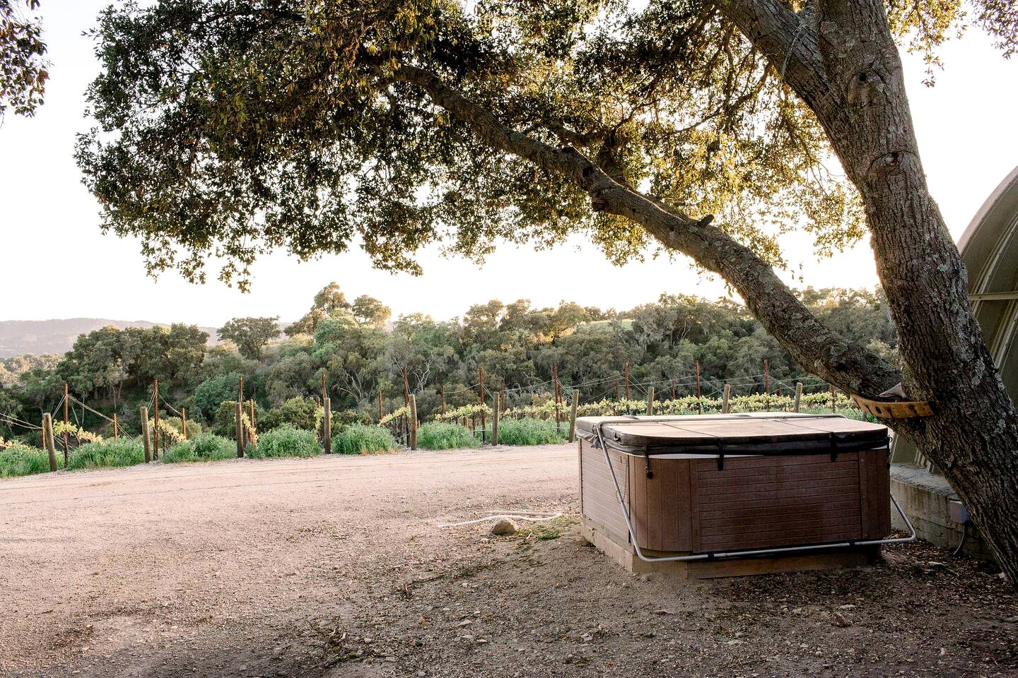 Stunning Paso Robles Cabin for Vineyard Glamping in California