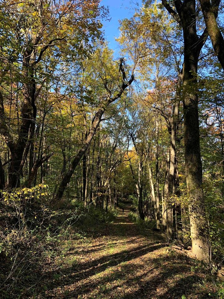 Beautiful Nashville Glamping Site for a Rural Tennessee Vacation