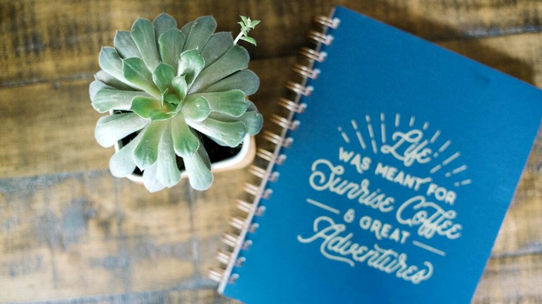 Cabins (Custer, South Dakota, United States of America)