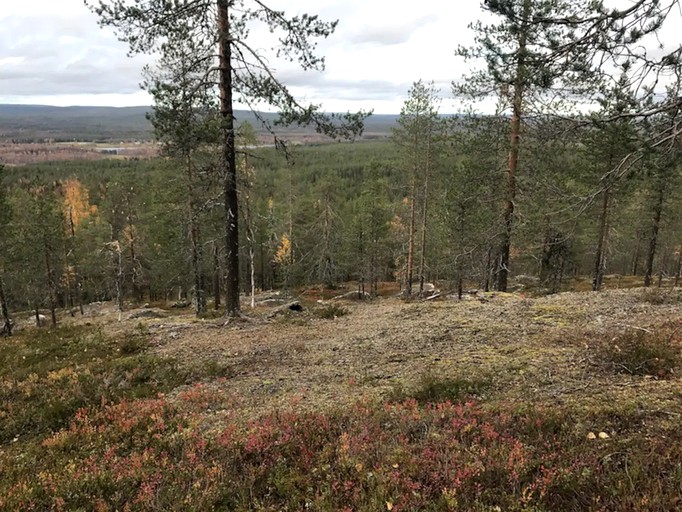 Yurts (Rovaniemi, Lapland, Finland)