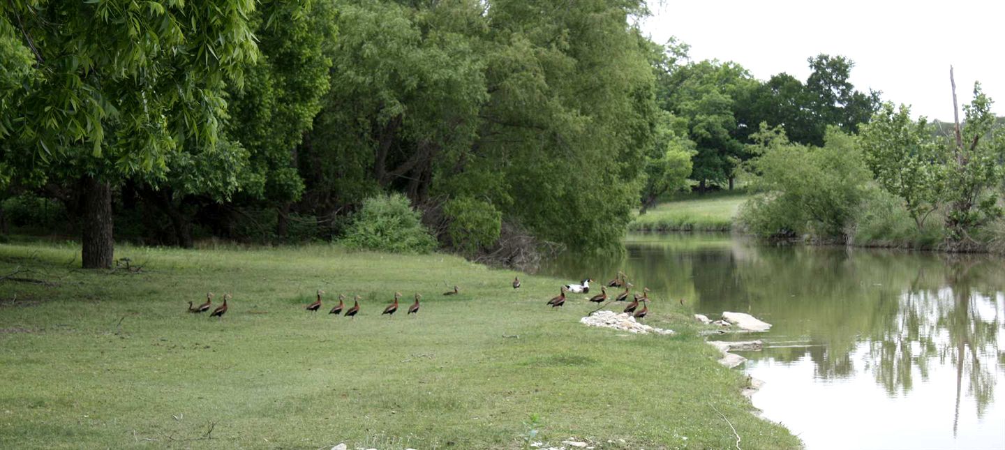 Charming Bandera Accommodation for Texas Hill Country Getaways