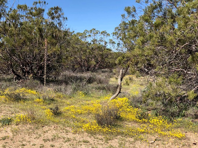 Barns (Warner Springs, California, United States)