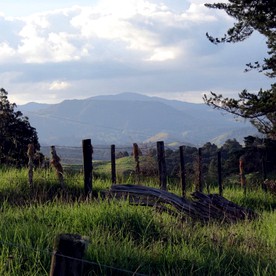 Beautiful Umawera Holiday Home Ideal for Peaceful Northland Getaways photo 4