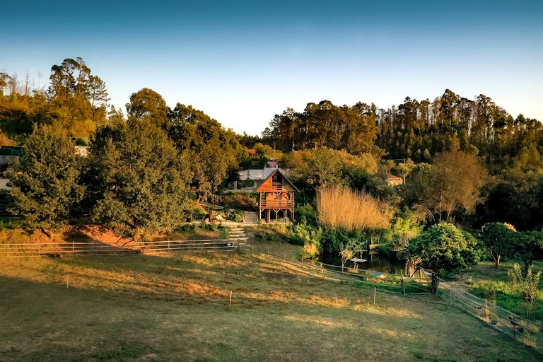 Tree Houses (Albergaria-a-Velha, Aveiro District, Portugal)