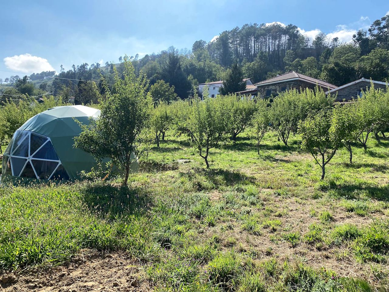 Beautiful Dome Rental Hidden in the Majestic Douro Valley in the North of Portugal