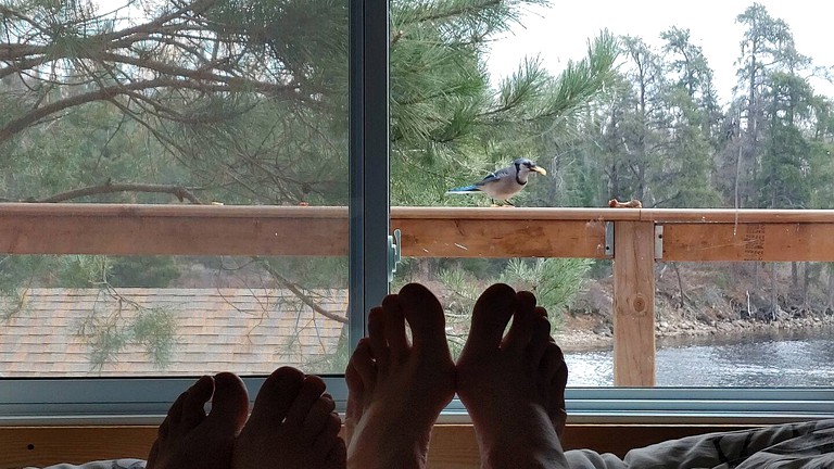 Cabins (Sudbury, Ontario, Canada)