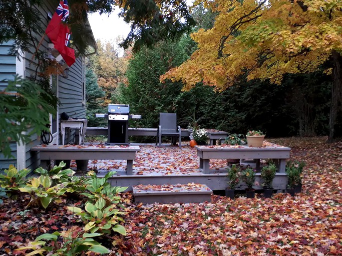 Ladybank Farm and Schoolhouse, Cottages, Feversham, Canada Glamping Hub