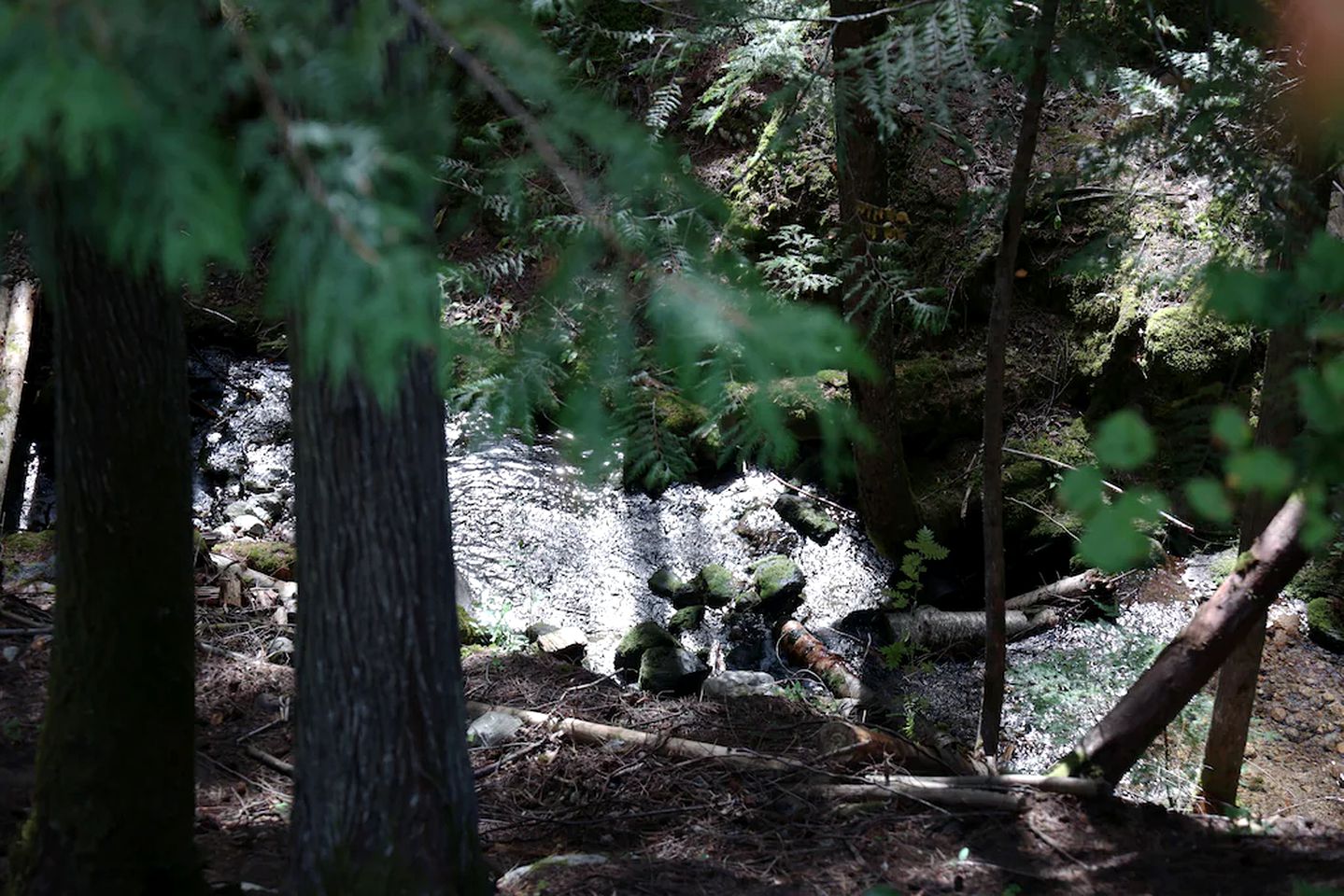 Beautiful Nelson Accommodation for Deluxe Canada Glamping