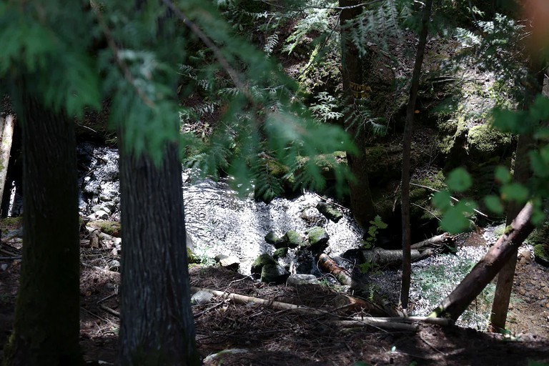 Domes (Nelson, British Columbia, Canada)