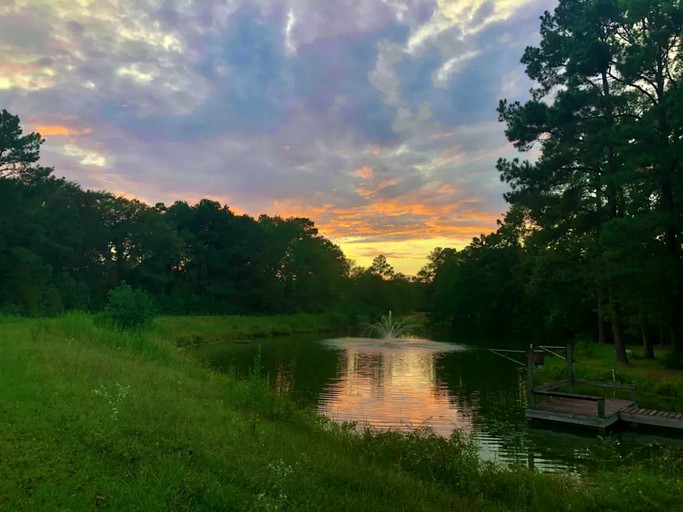 Cabins (Willis, Texas, United States of America)