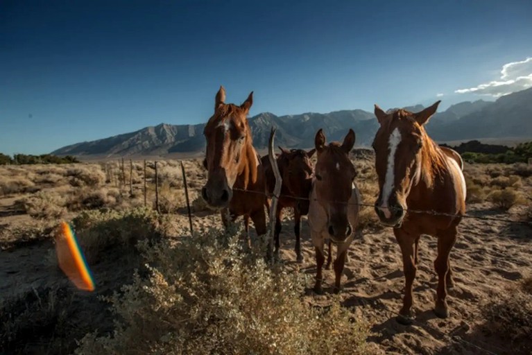 Cabins (Lone Pine, California, United States)