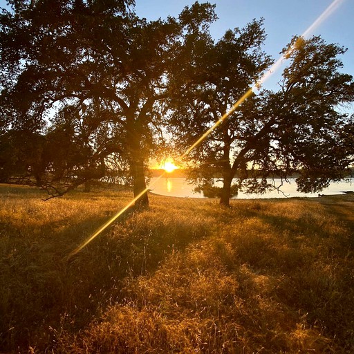 Bell Tents (Grass Valley, California, United States of America)