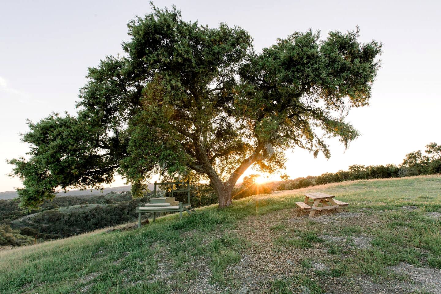 Stunning Paso Robles Cabin for Vineyard Glamping in California