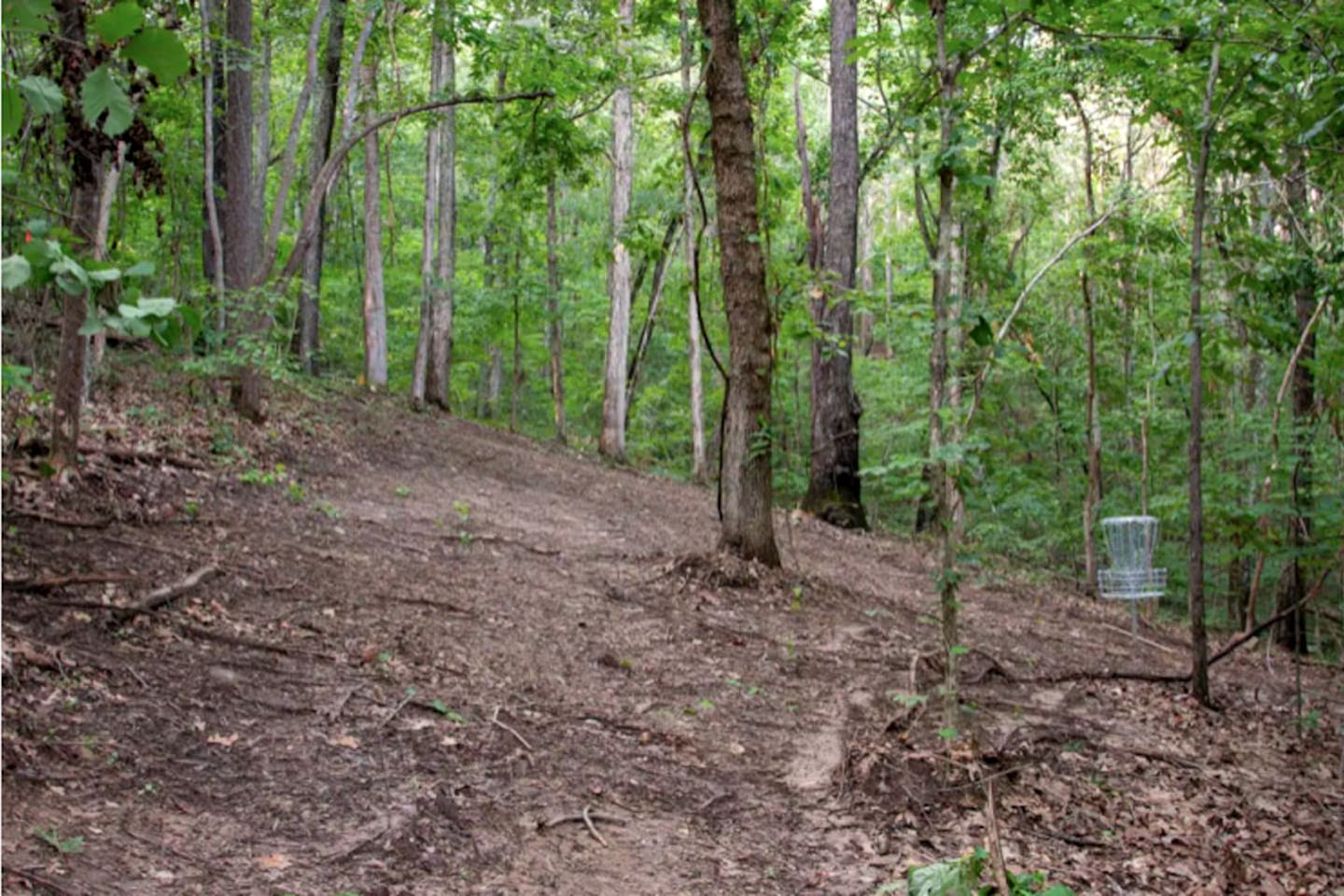 Sweet Tiny House Nestled Among the Towering Trees in Alabama