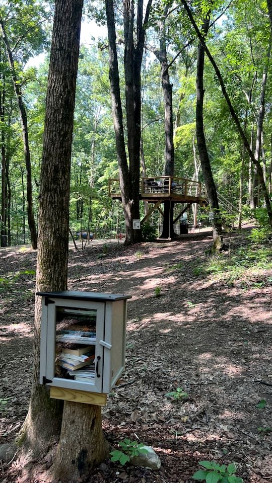 Sweet Tiny House Nestled Among the Towering Trees in Alabama