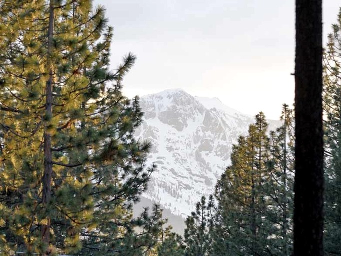 Cabins (United States of America, South Lake Tahoe, California)