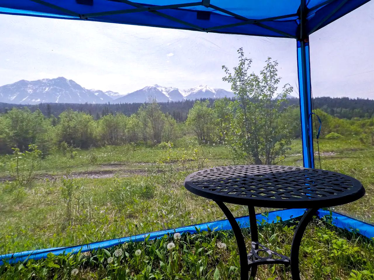 Fabulous Dogsled Retreat Ideal for Columbia Valley Vacations