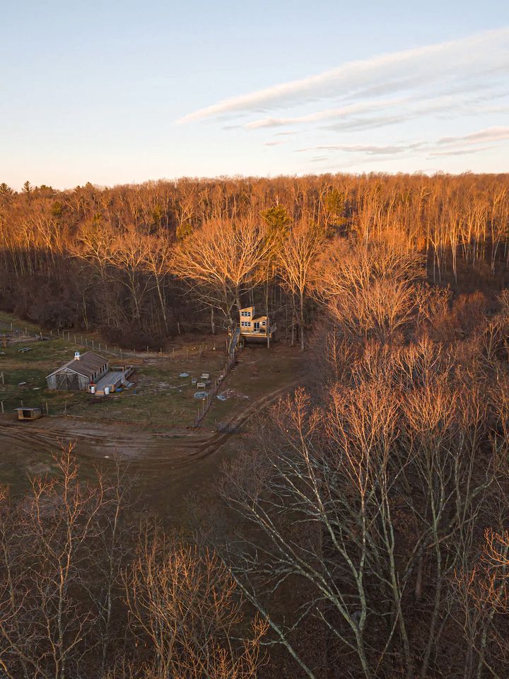 Magical Connecticut Tree House on a Working Farm