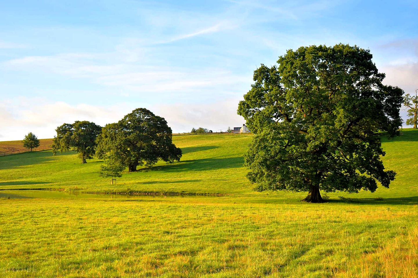 Gorgeous Srhropshire Holiday Home Ideal for Glamping in England