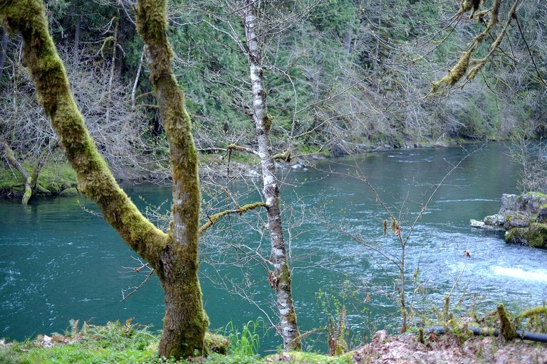 Private Tipi on the Molalla River Tipis Molalla United States