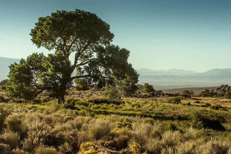 Cabins (Lone Pine, California, United States)