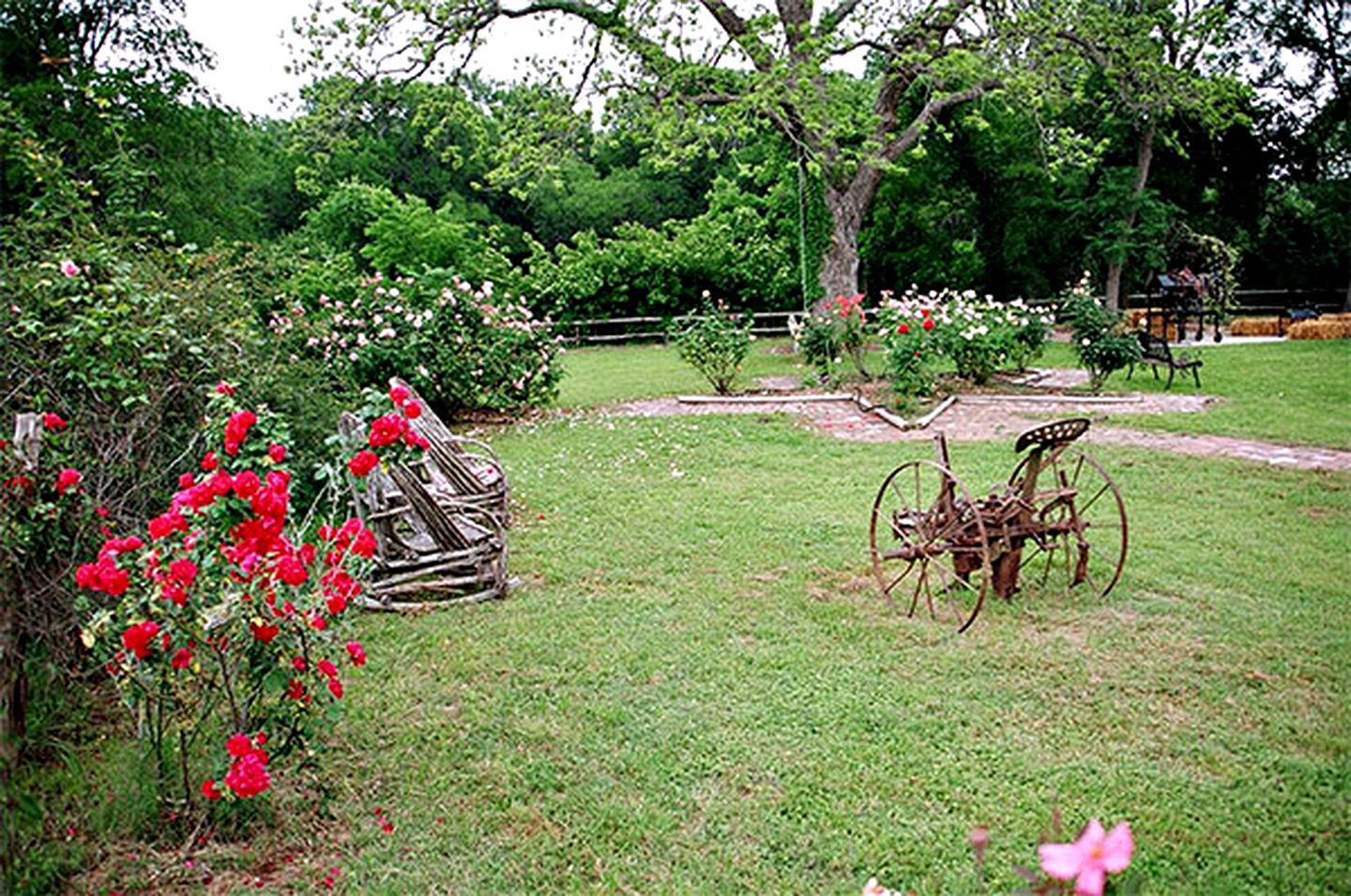 Reconnect by the Water: Modern Family Tented Cabin Retreat in Cibolo, TX