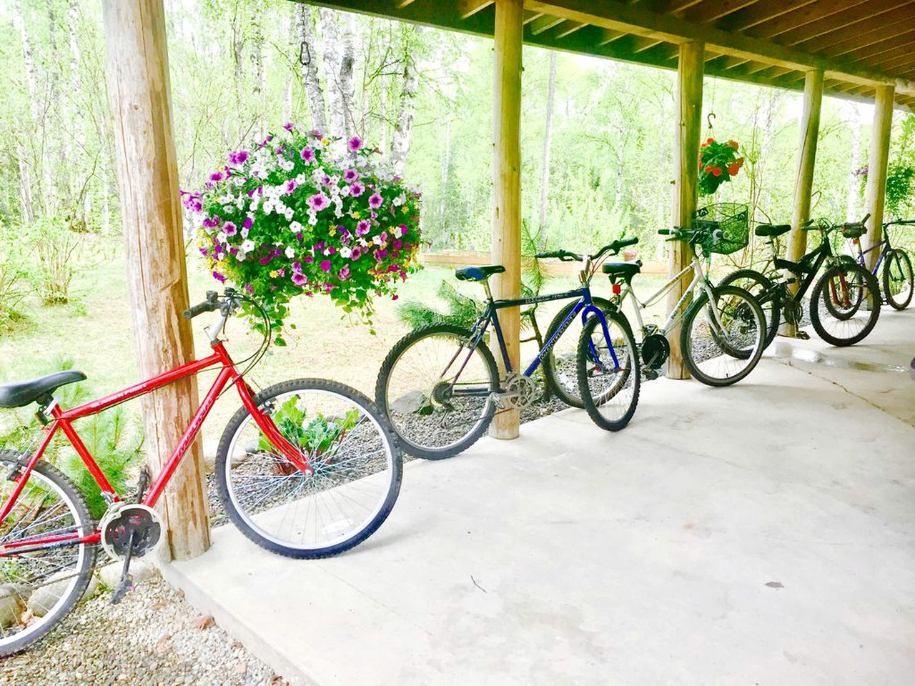 The Talkeetna Lake House, Cabins, Talkeetna, United States of America