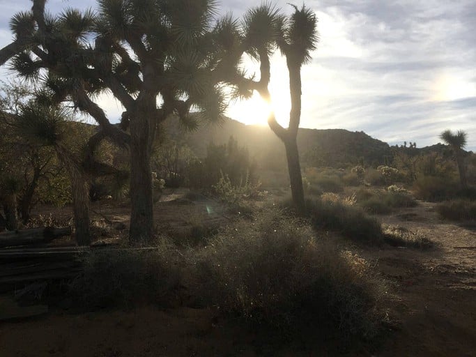 Cabins (Yucca Valley, California, United States)