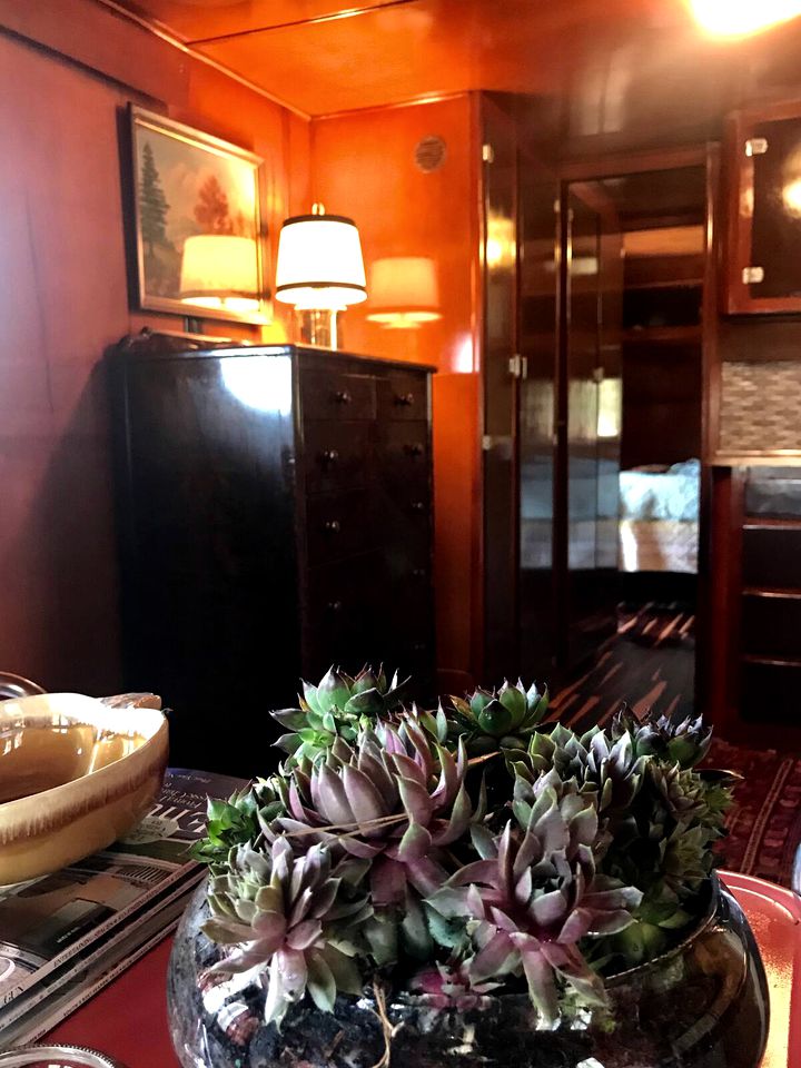 Vintage Georgia Airstream Nestled in the Pines