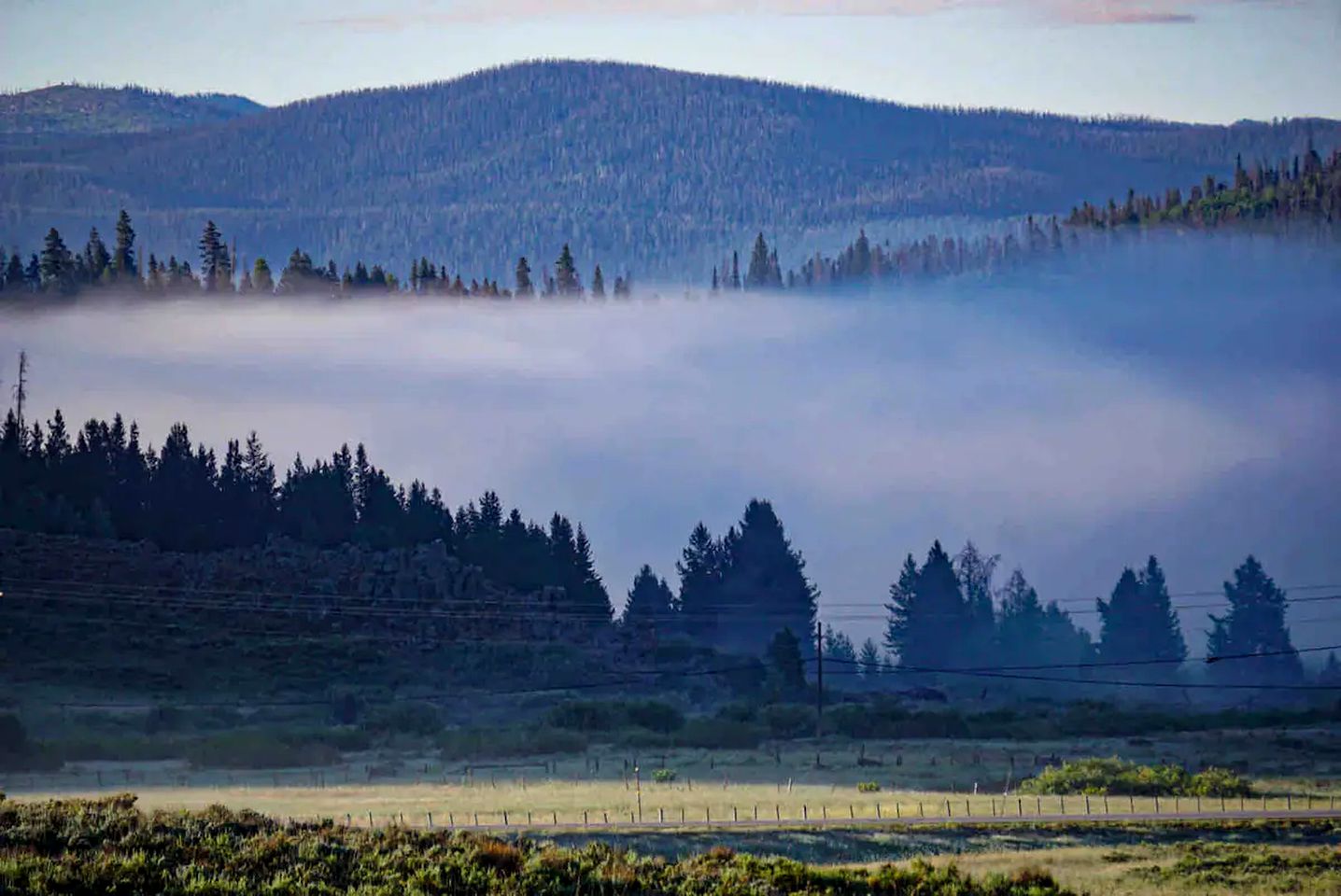 Room in a Pet-Friendly Cabin Rental Perfect for Glamping in Colorado