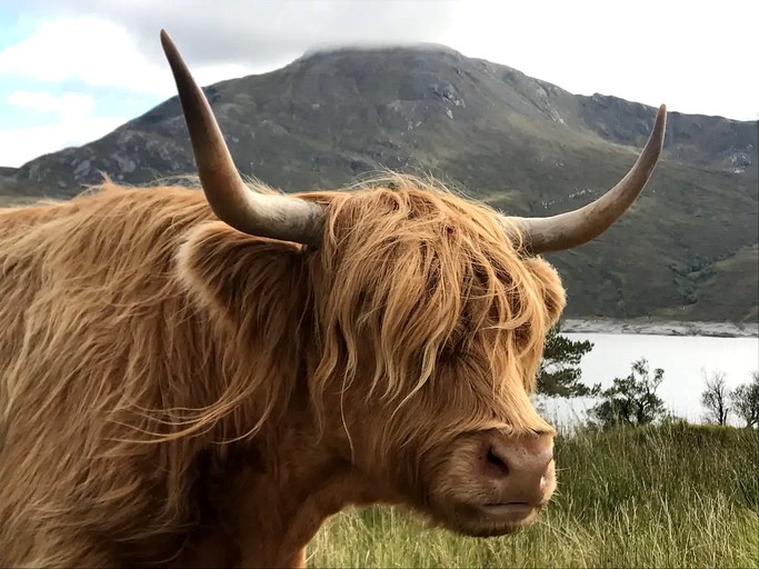 Cabins (Invergarry, Scotland, United Kingdom)