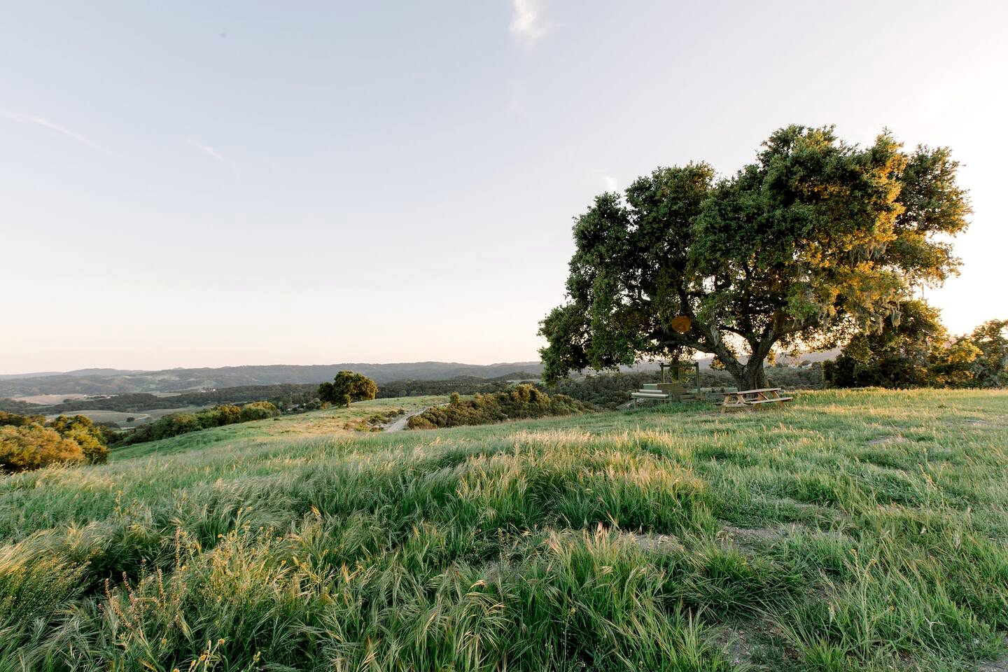 Gorgeous Paso Robles Cabin for Glamping in California
