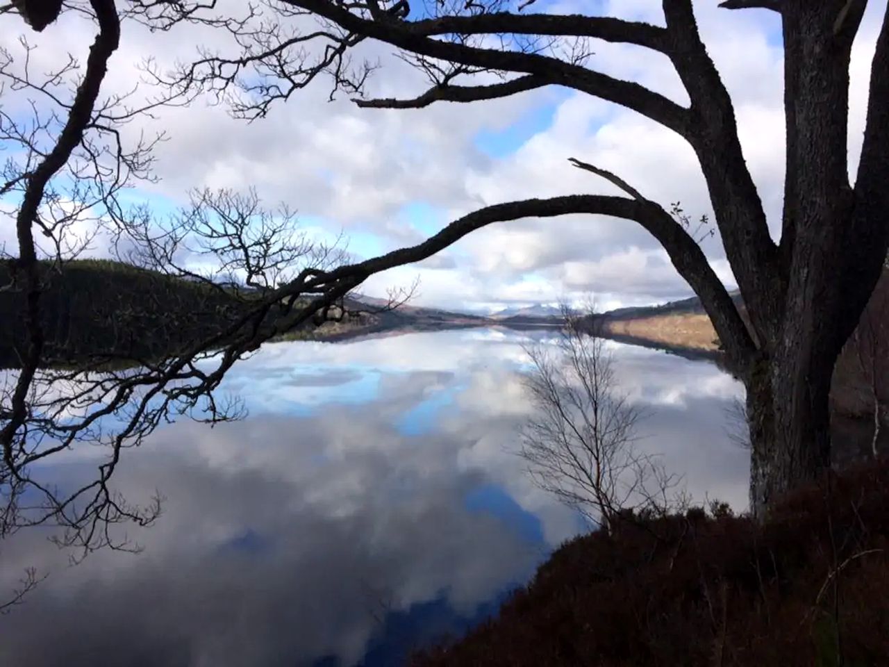 Romantic Shepherd's Hut Rental for Glamping in Scotland
