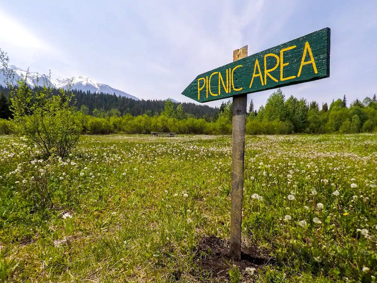 Fabulous Dogsled Retreat Ideal for Columbia Valley Vacations