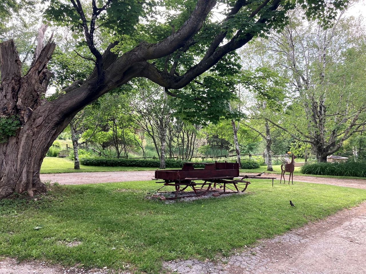 Glamping Tent at the Koi Pond for a Romantic Getaway, Ontario