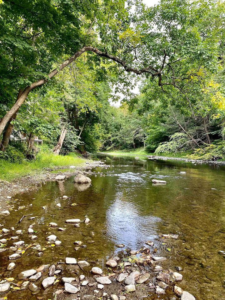 Secluded Cabin Rental Perfect for Upstate NY Glamping