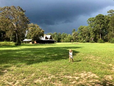 Remarkable Tiny House, Texas Vacations for Families - Photo 2