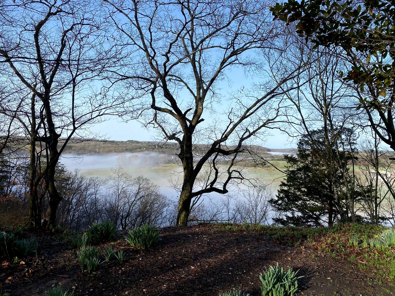 Exciting Hobbit House Rental Ideal for a Fun Vacation in Arkansas